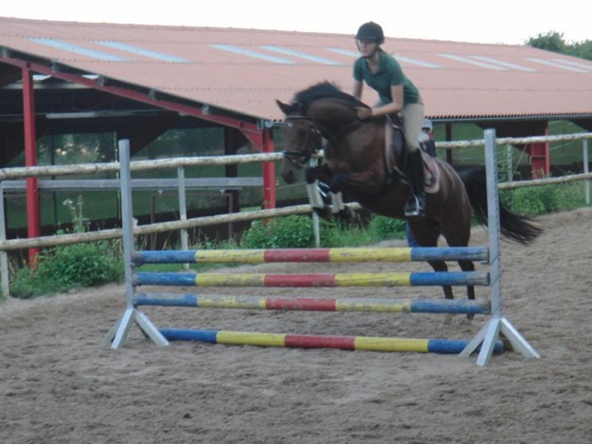 Ferienhof Pfeiffer Buchen  Luaran gambar