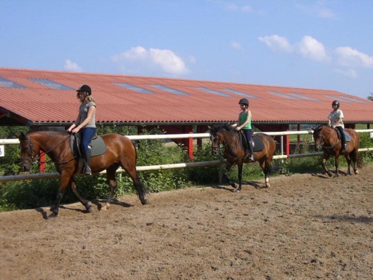 Ferienhof Pfeiffer Buchen  Luaran gambar
