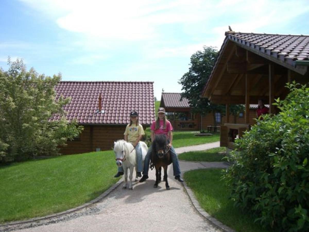Ferienhof Pfeiffer Buchen  Luaran gambar