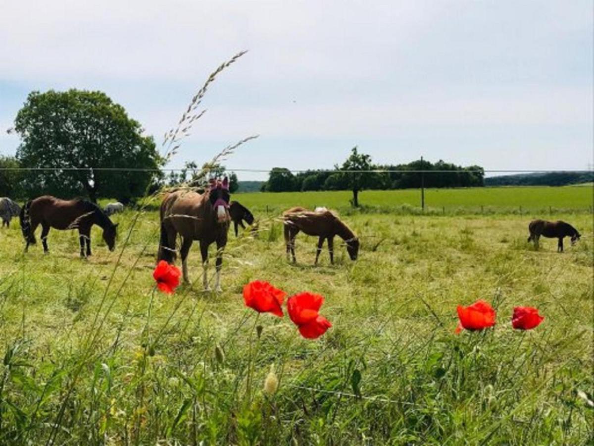 Ferienhof Pfeiffer Buchen  Luaran gambar